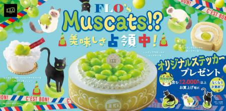 フランスの看板猫が店内をジャック!?FLOの絶品シャ フランスの看板猫が店内をジャック!?FLOの絶品シャ