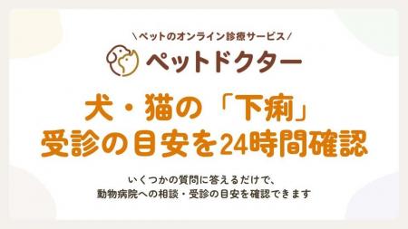 ペットのオンライン診療「ペットドクター」、受診判断