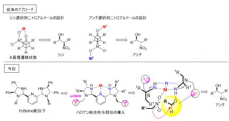 医薬品の効率的な合成に期待―脂質などに広く存在する