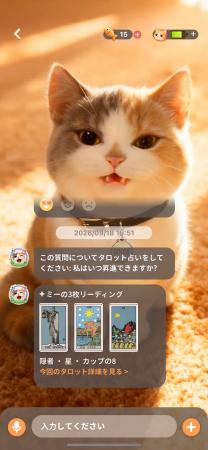 迷ったときは、この子に聞いてみて|Meowsterにタロッ 迷ったときは、この子に聞いてみて|Meowsterにタロッ