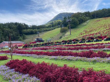 【地元再発見】秋は「近場」で絶景体験!スキー場のゲ 【地元再発見】秋は「近場」で絶景体験!スキー場のゲ