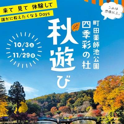 【東京都町田市】町田薬師池公園四季彩の杜「秋遊び」