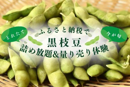 【京都府京丹波町】産地を訪れて、ふるさと納税。道の 【京都府京丹波町】産地を訪れて、ふるさと納税。道の