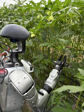 【実証レポート】ヒューマノイドロボットが農場に立っ 【実証レポート】ヒューマノイドロボットが農場に立っ