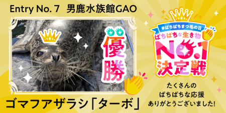 スカルプＤまつ毛美容液主催「ぱちぱちな生き物No.１