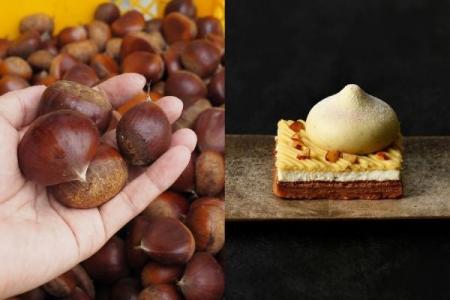 約16tの栗を、約2か月かけて仕上げる石井食品の秋の「