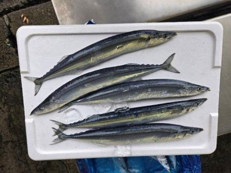 「秋の味覚」を「賢く買う」なら、松戸南部市場へ~目 「秋の味覚」を「賢く買う」なら、松戸南部市場へ~目