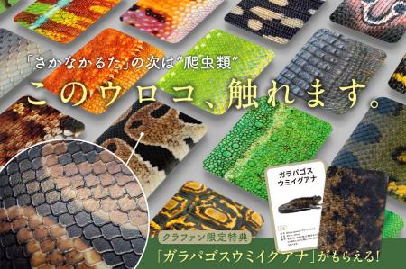 【累計販売数3.5万個を達成】「さかなかるた」に続く