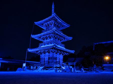 「手話言語の国際デー」に市内ランドマークでブルーラ