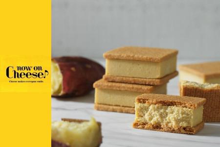 【秋限定商品！】チーズスイーツ専門店「Now on Chees