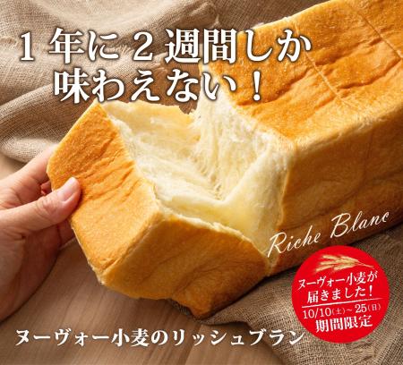 【サンジェルマン】採れたての「新麦」を使用！1年で2