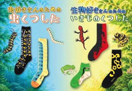 ヤドクガエルやアサギマダラの幼虫の「警戒色」を纏っ