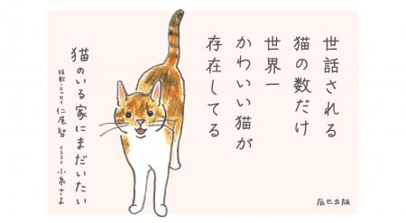 【世話される猫の数だけ世界一かわいい猫が存在してる