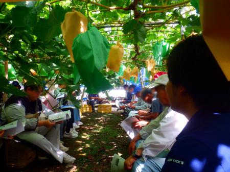 【参加者募集中!】瀬戸内市牛窓露地野菜産地の現地見 【参加者募集中!】瀬戸内市牛窓露地野菜産地の現地見