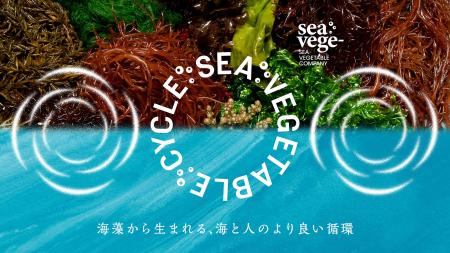 シーベジタブルの海藻を「食べる」ことから、海と人の シーベジタブルの海藻を「食べる」ことから、海と人の