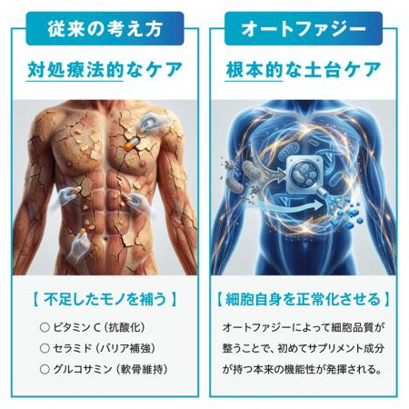 【研究成果】オートファジー研究を健康食品開発へ応用 【研究成果】オートファジー研究を健康食品開発へ応用