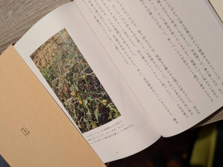 「子どもが生まれた日、最初に触れたのはどこでしたか 「子どもが生まれた日、最初に触れたのはどこでしたか