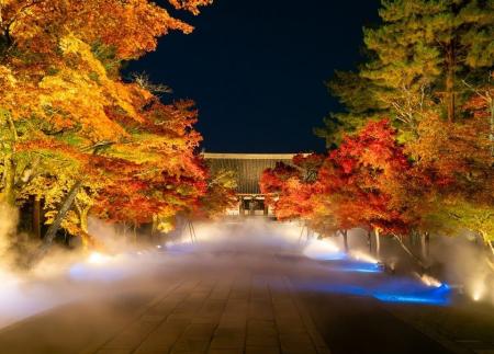 【リーガロイヤルホテル京都】仁和寺 「紅葉雲海ライ