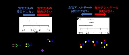 母乳に含まれる特定の糖鎖が乳児の感染症・アレルギー
