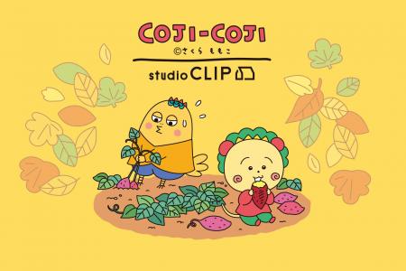 「コジコジ×studio CLIP」人気コラボ第３弾！“コジコ