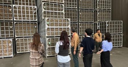 北海道の新品種じゃがいも「ゆめいころ」PRアンバサダ