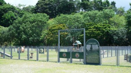 【福岡・東峰村】「THE DOG CAMPUS -KOISHIWARA-」、