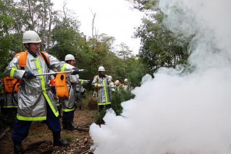 【防災事業】猪名川町内の山林をフィールドに大規模林