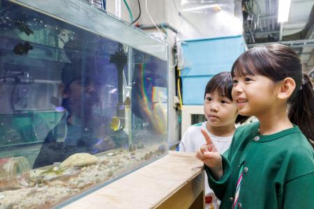 【リゾナーレ下関】ふぐの展示種数世界一の「海響館」