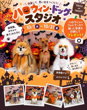 【PetsTokyo 長原店】ハロウィン・ドッグ・スタジオ