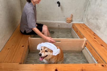 【京都・京丹波】愛犬と楽しめる「わんちゃん専用足湯