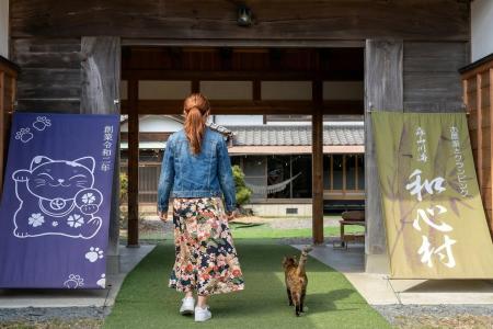 「猫のように、急がない旅を。」和心村の“猫治”誕生記