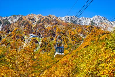 立山黒部アルペンルート、黒部平庭園で 紅葉と音楽を