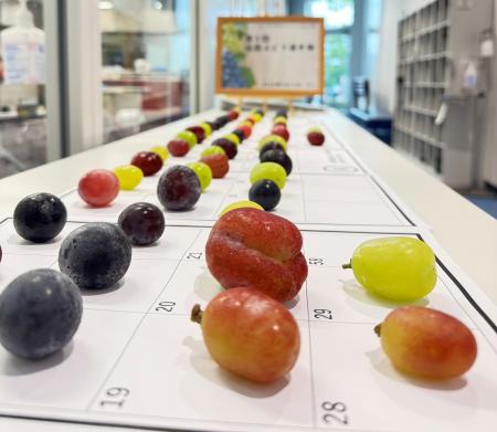 おいしい「ぶどう」NO.１が決定！今年の日本一は、合