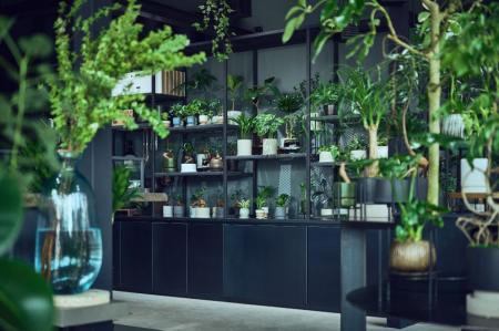 はじめての植物選びから、育てている植物の相談まで　