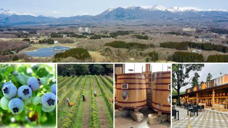 Nasu 661 WINE HILLS「ワイン＝ブドウ」を超えて　那