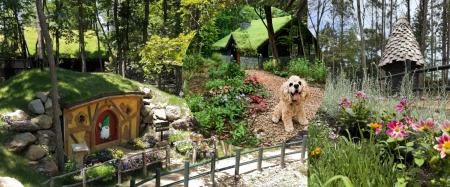 【那須高原】絵本の世界へ愛犬と迷い込む？北欧ファン