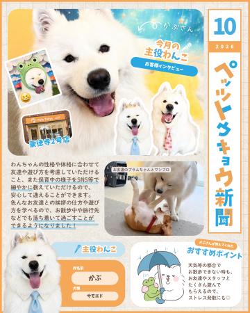 ペットと暮らす毎日をもっと楽しく！「ペッツトウキョ