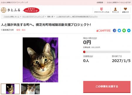 千葉県横芝光町とさとふる、飼い主のいない猫の補助事