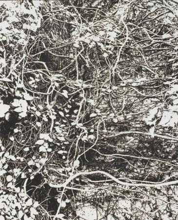 線香で画を描くアーティスト市川孝典、個展「FLEutf-8