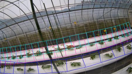 台湾において生育状況の遠隔把握に向けた実証結果を発