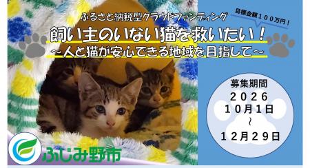 寄付金を飼い主のいない猫の不妊・去勢手術の支援に
