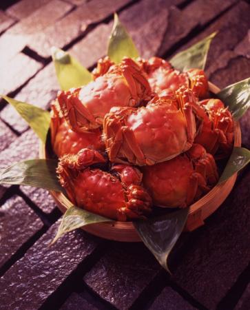 秋の味覚「上海蟹」が千葉・幕張に！希少な秋食材を惜