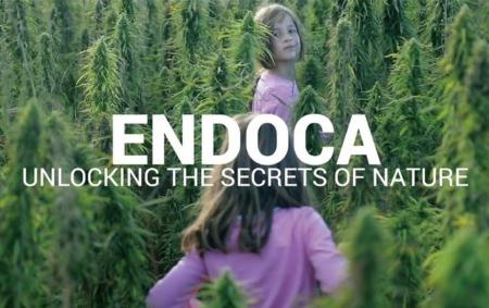 北欧CBDブランド 「ENDOCA（エンドカ）」全製品の価格