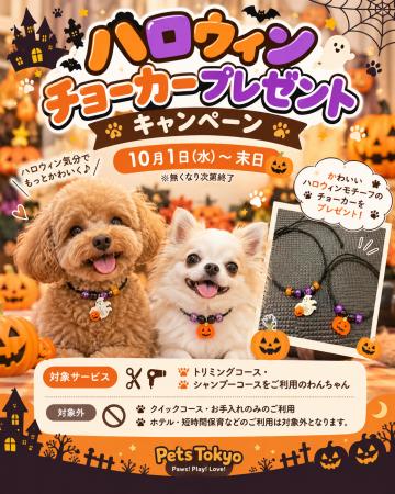 【Pets Tokyo西大井店】ハロウィンチョーカープレゼン