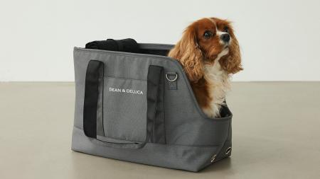 愛犬との時間を豊かにするDEAN & DELUCAオリジナルの
