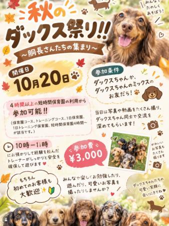 【Pets Tokyo豪徳寺2号店】秋のダックス祭り！を開催