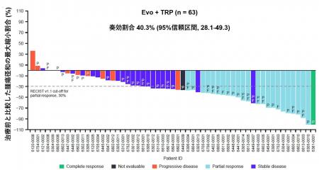 HER2陽性進行胃・食道接合部腺がんに対するエボルパセ HER2陽性進行胃・食道接合部腺がんに対するエボルパセ