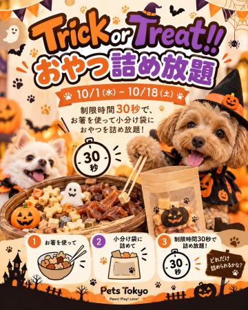 【Pets Tokyo豪徳寺1号店】Trick or Treat!!️おやつ詰