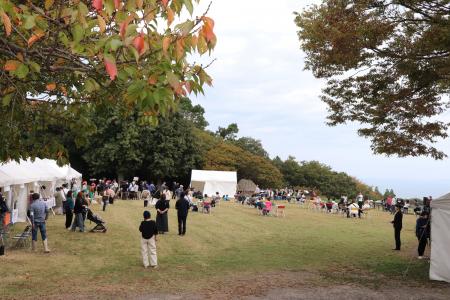 【イベント情報】 第33回牛窓オリーブ収穫祭2026は10