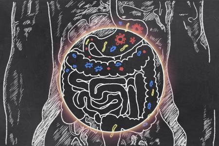 【国内初※】自閉症のお子様に特化した腸内フローラ解